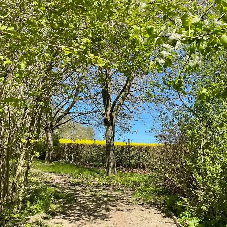 Appartement Nelke By Interhome *