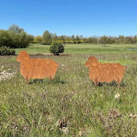 Nelke By Interhome Zarrentin (Vorpommern-Rugen)