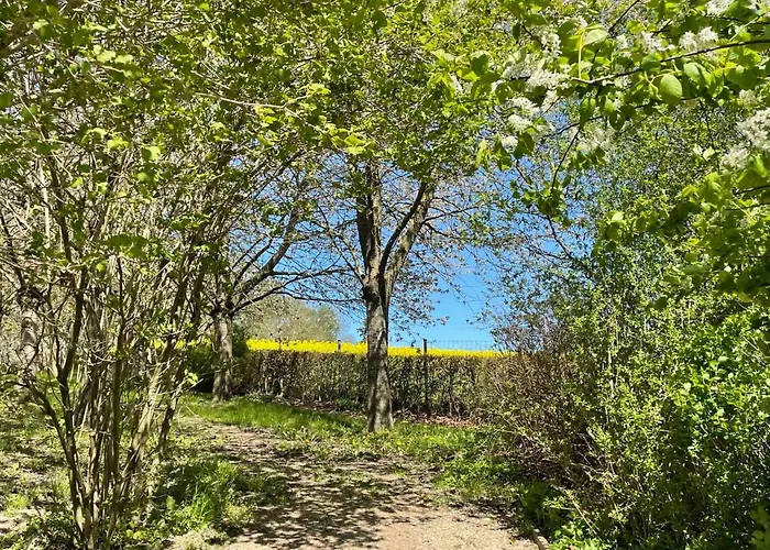 Appartement Nelke By Interhome *