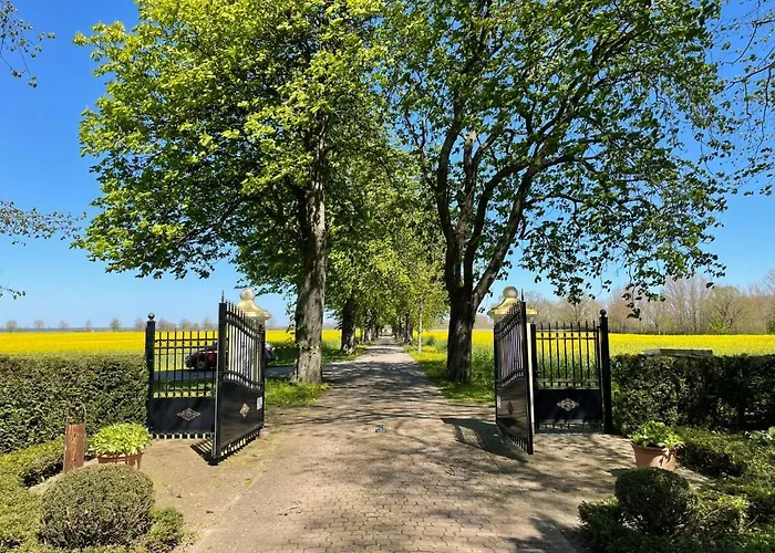 Nelke By Interhome *